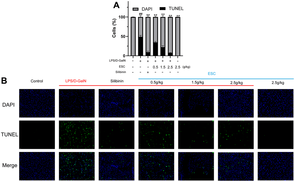 Swertia cincta Burkill alleviates LPS/DGalNinduced acute liver