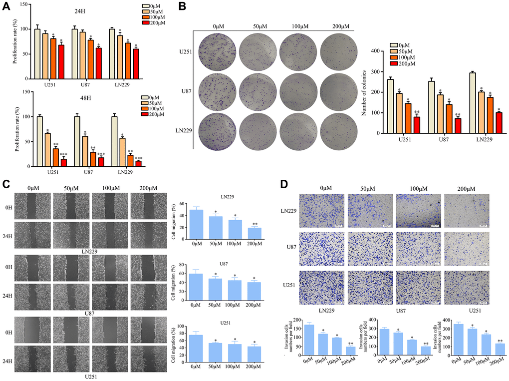 Arturmerone inhibits the proliferation and mobility of glioma by