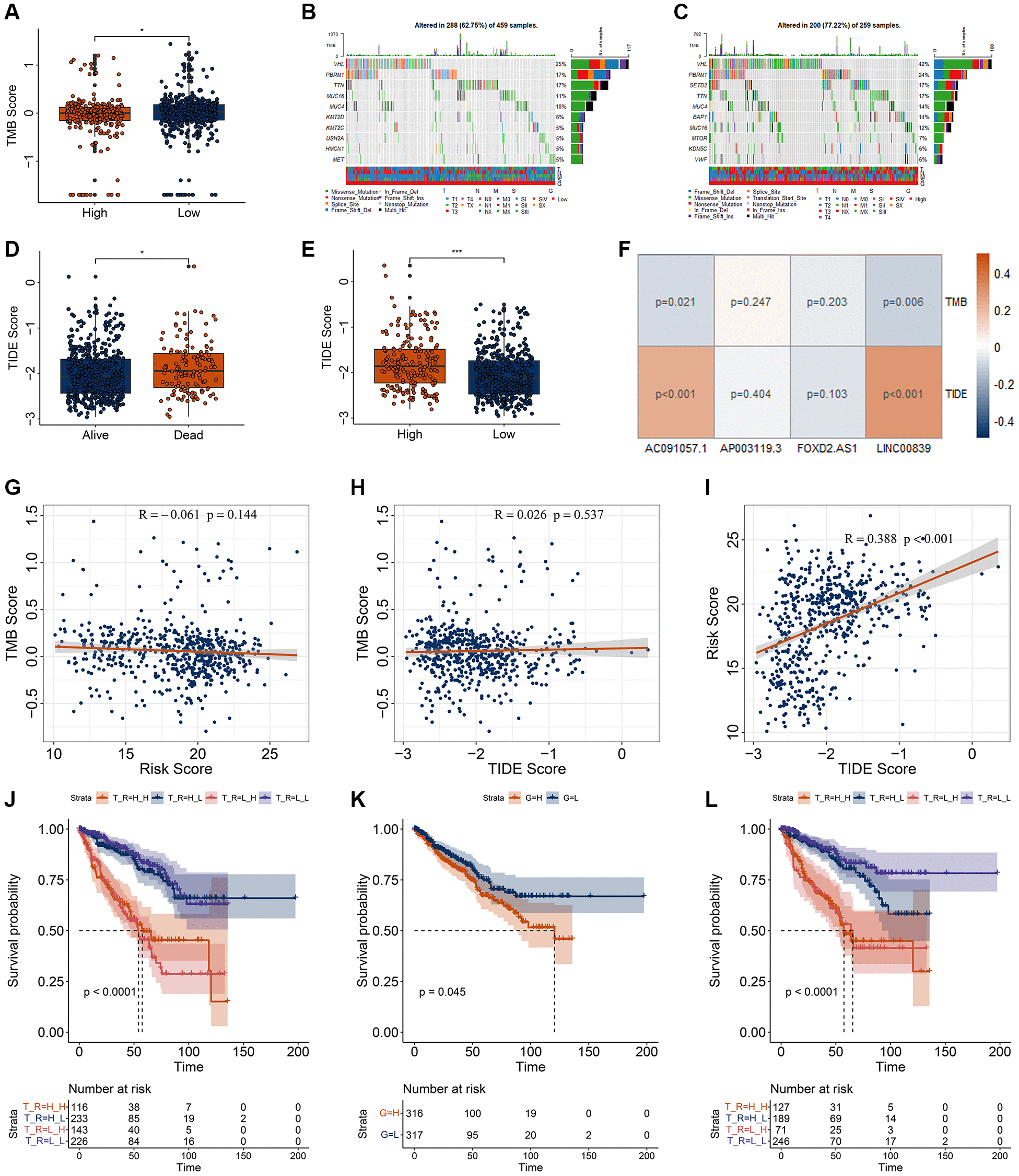 Characterization of tumor microenvironment and sensitive chemotherapy
