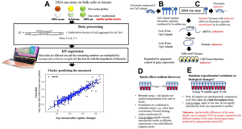 Failtests of DNA methylation clocks, and development of a noise