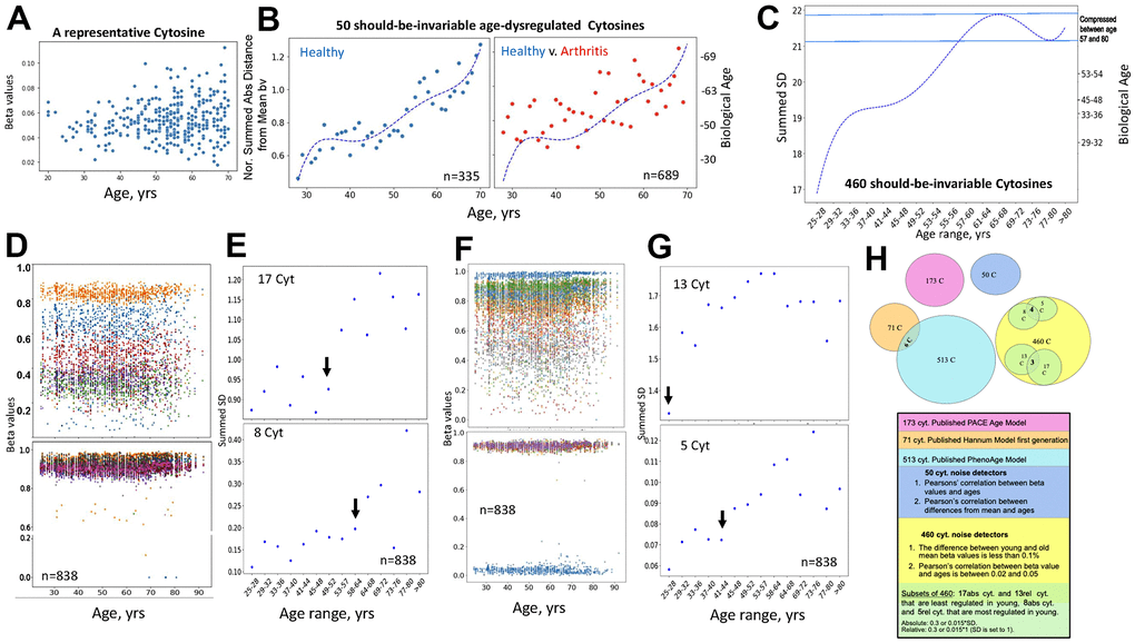 Failtests of DNA methylation clocks, and development of a noise