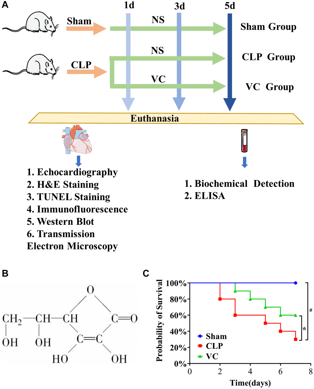 Highdose Vitamin C injection ameliorates against sepsisinduced