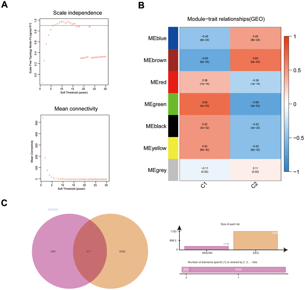 Investigating gene signatures associated with immunity in colon adenocarcinoma to predict the