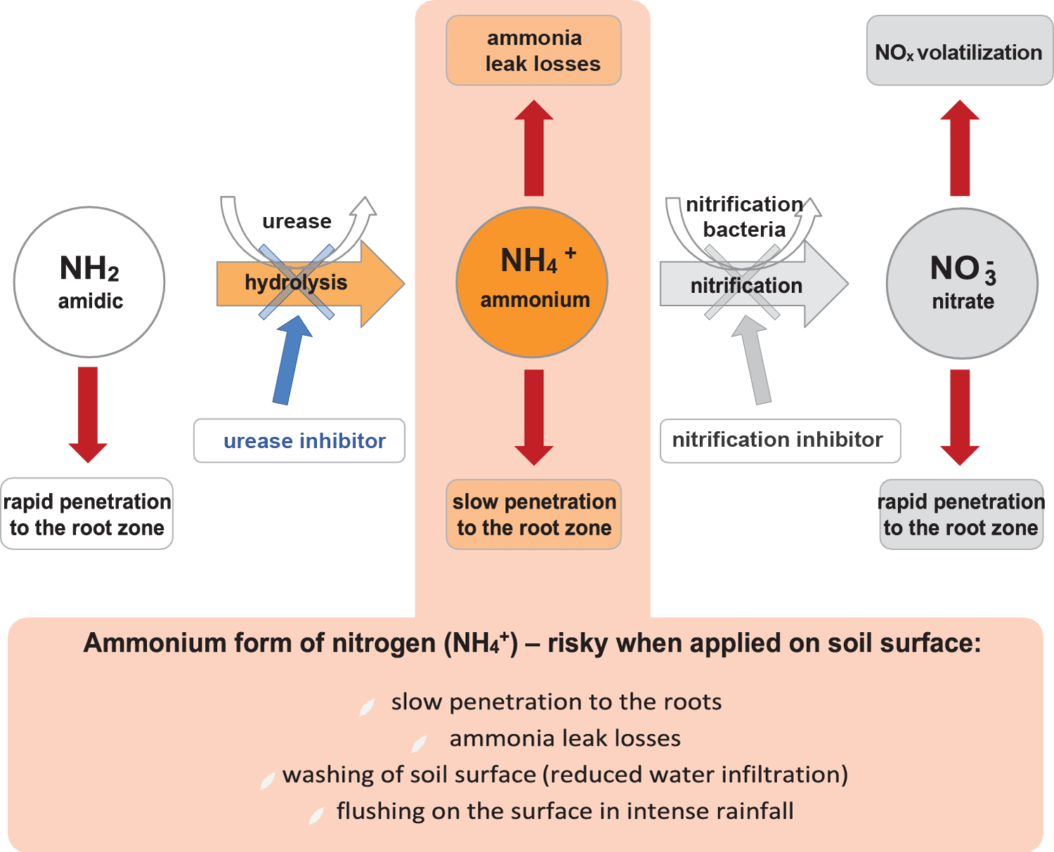 Nitrogen Management AGRA GROUP a.s.