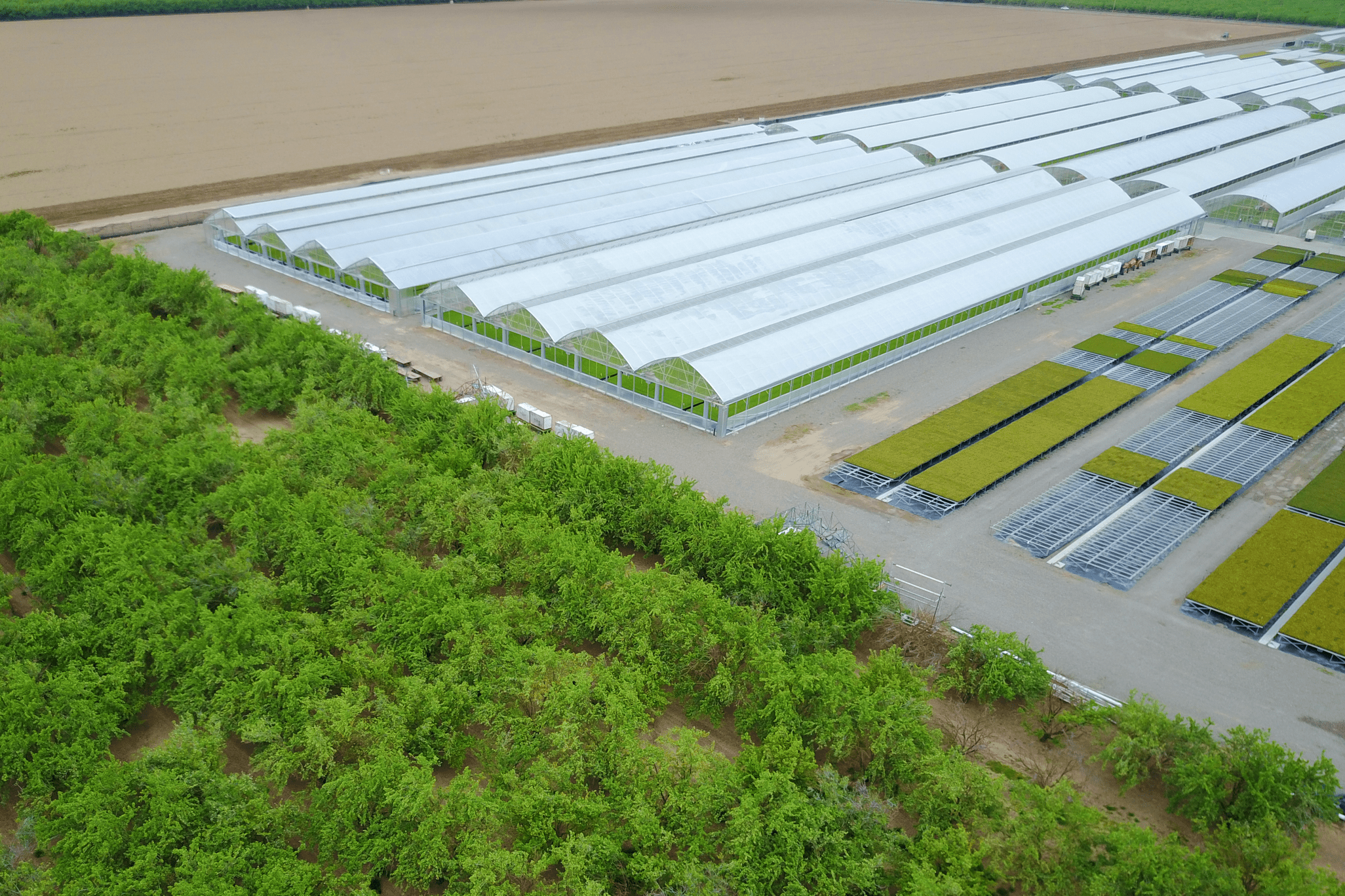 Commercial Greenhouse Manufacturer Metal Structure Vegetable
