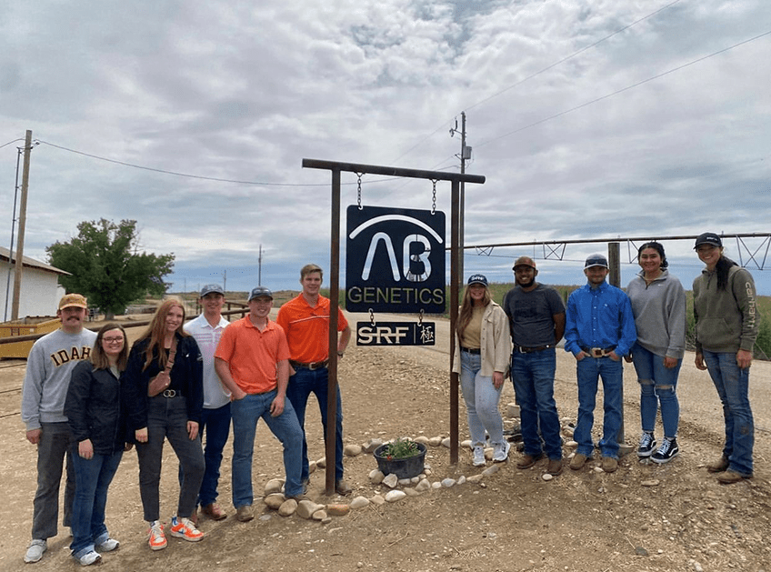 Careers work on the cutting edge of beef Agri Beef