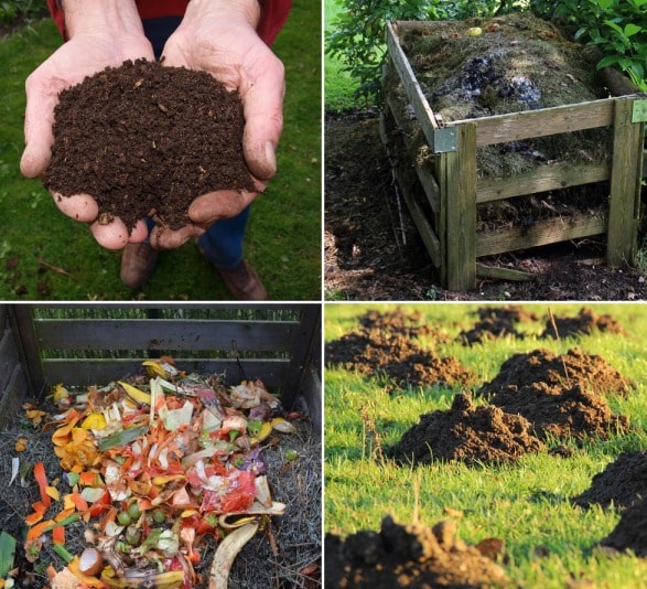 Compost Questions and Answers, Composting Tips Agri Farming