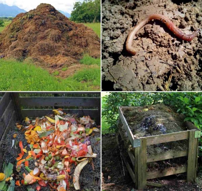 What is Compost, Types of Compost, Compost Methods Agri Farming
