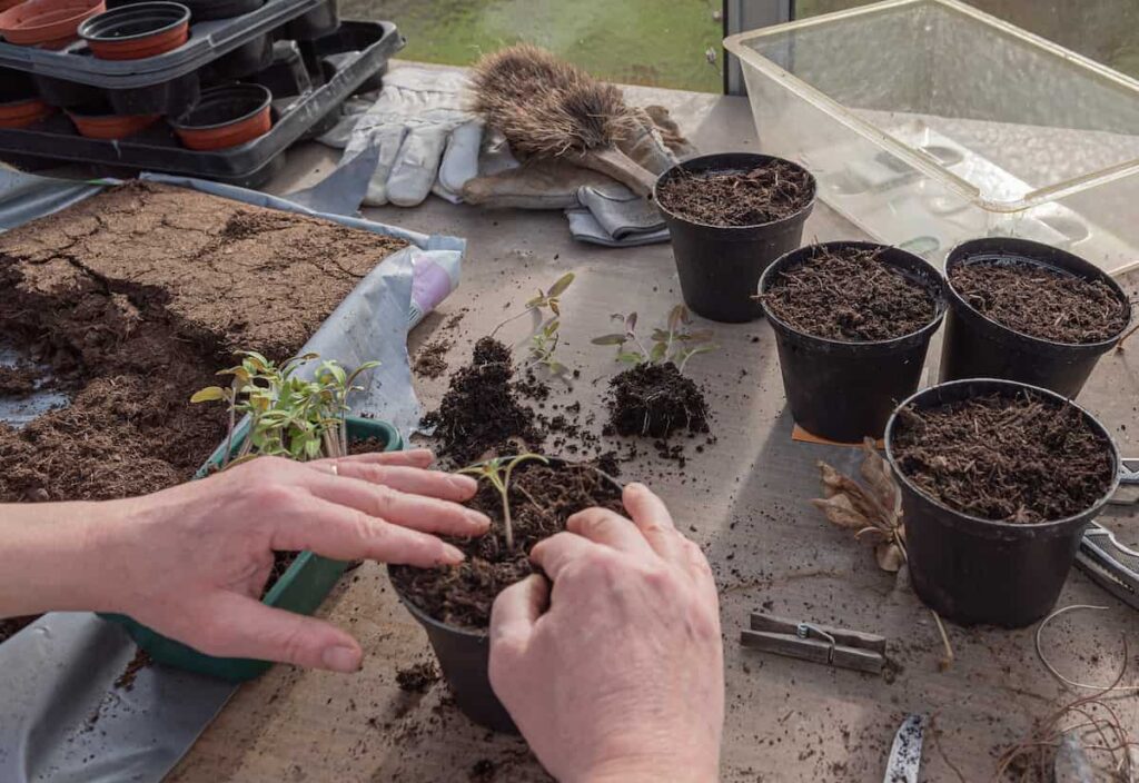 How to Make Potting Soil Mix for Vegetables Homemade Recipes, Top