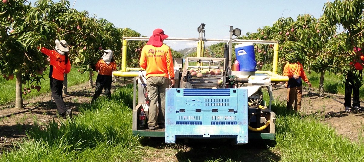 Agri Labour Proposed WHV Tax Changes Agri Labour