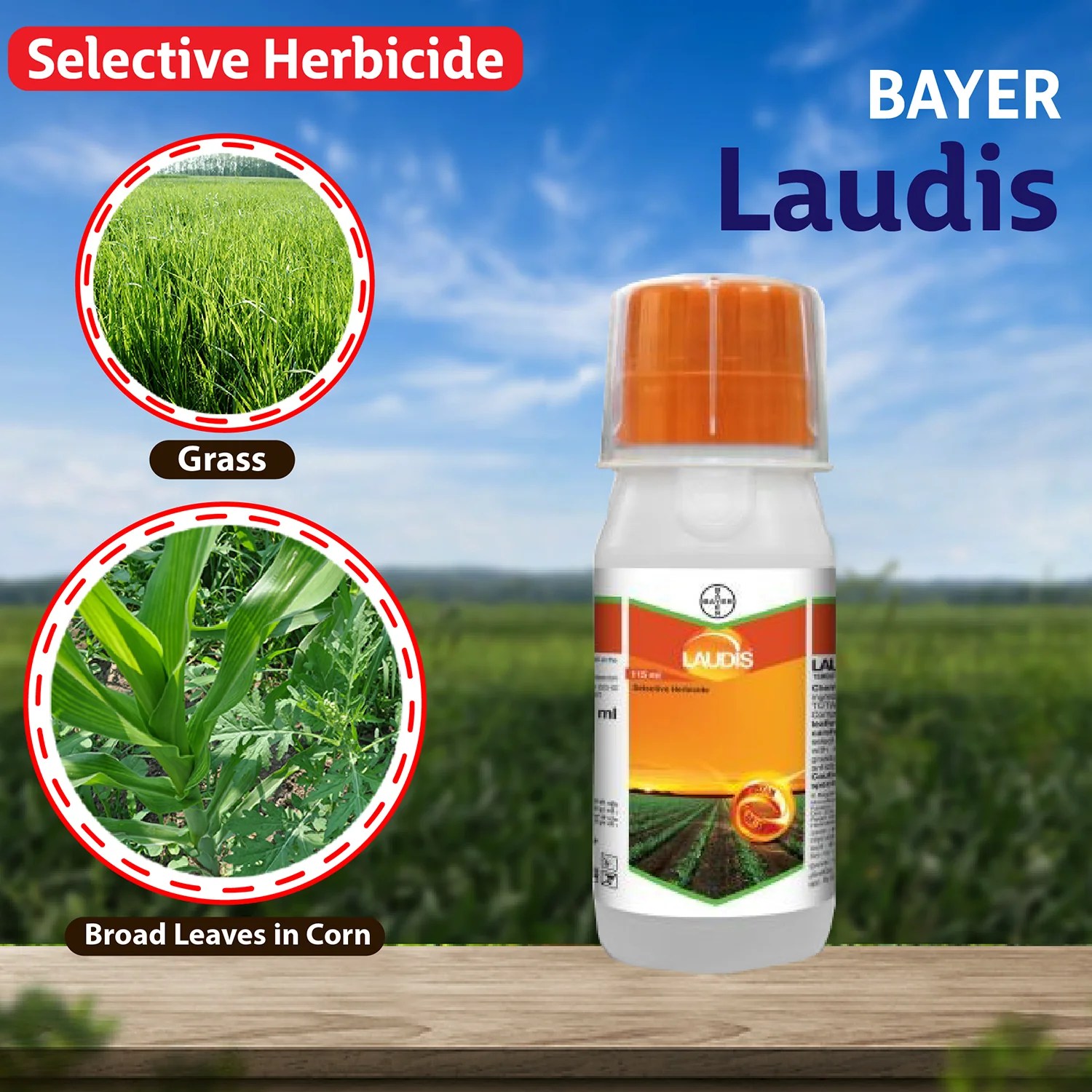 Buy Bayer Laudis Herbicide Online Agriplex