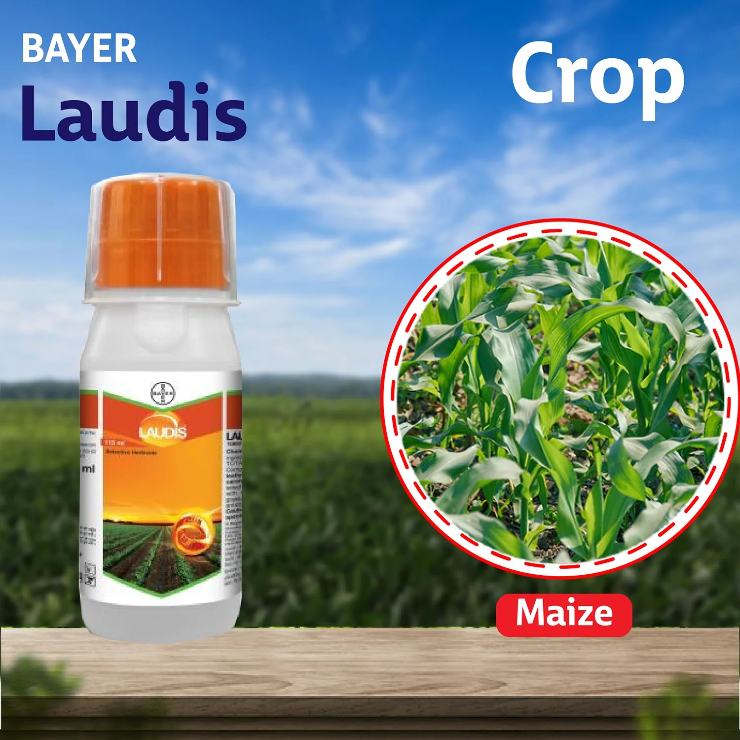 Buy Bayer Laudis Herbicide Online Agriplex