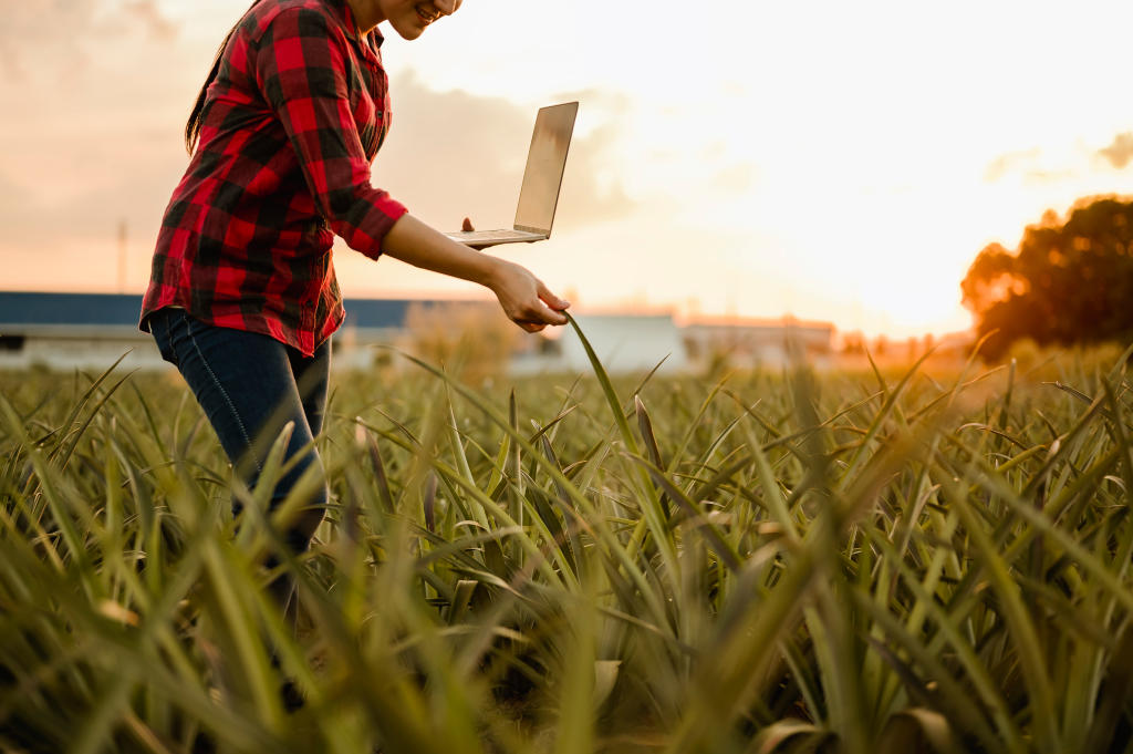 Australian Agriculture Industry Consulting Recruitment & Jobs Agri Talent