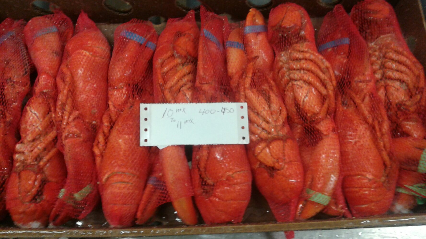 Current Offers Agritec Americas Corp