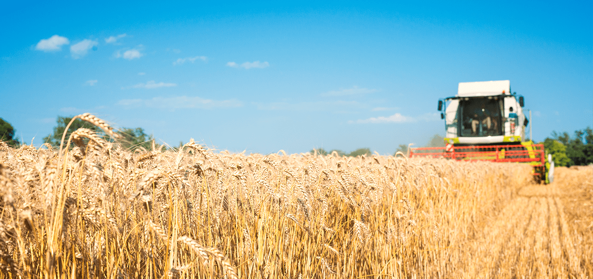 Profitable Farming With Efficient Workers AGRIVI