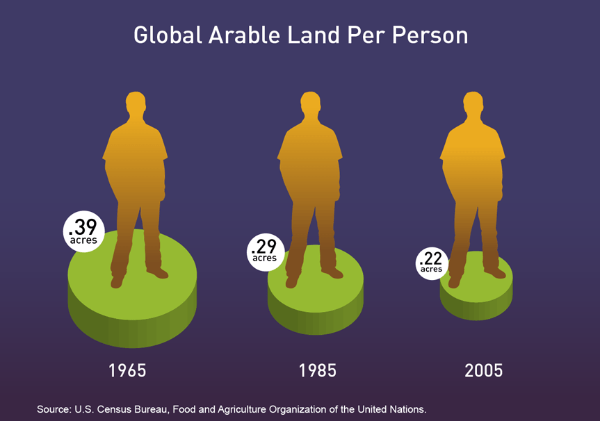 Loss of Arable Land Threaten World Food Supplies AGRIVI