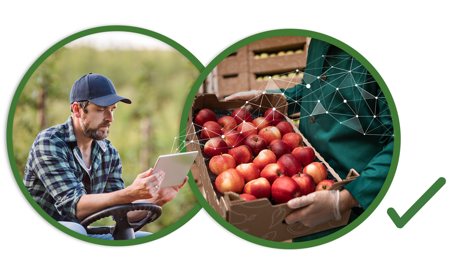 nestle supply chain management case study