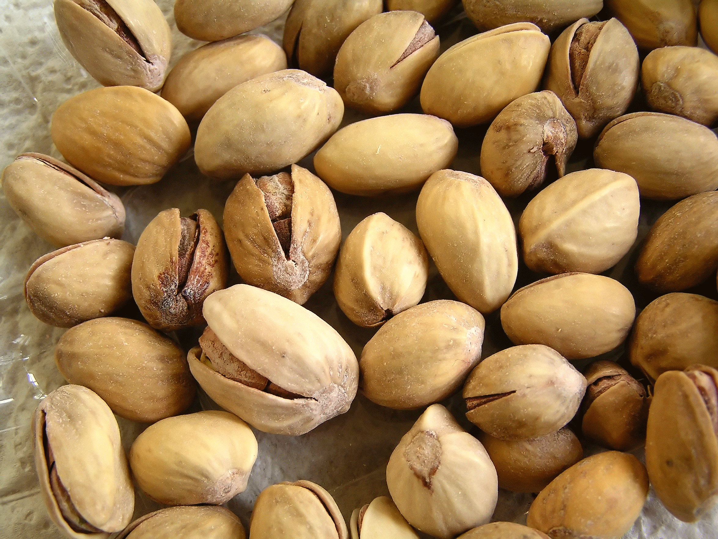 Plantas de pistacho, ¿por qué cultivarlas? Agroforestal Esla