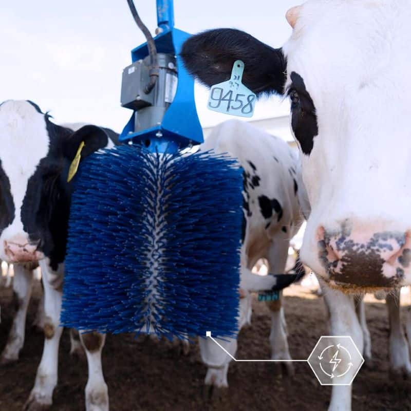 Cow Brushes Cattle Scratching Brush Agromasters
