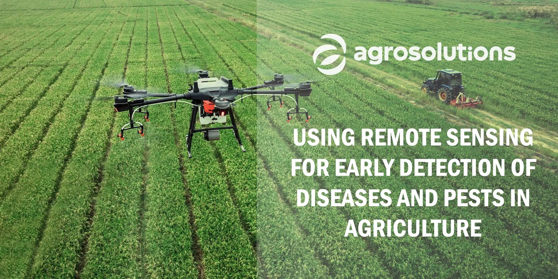 Detection of diseases and pests in agriculture Agrosolutions