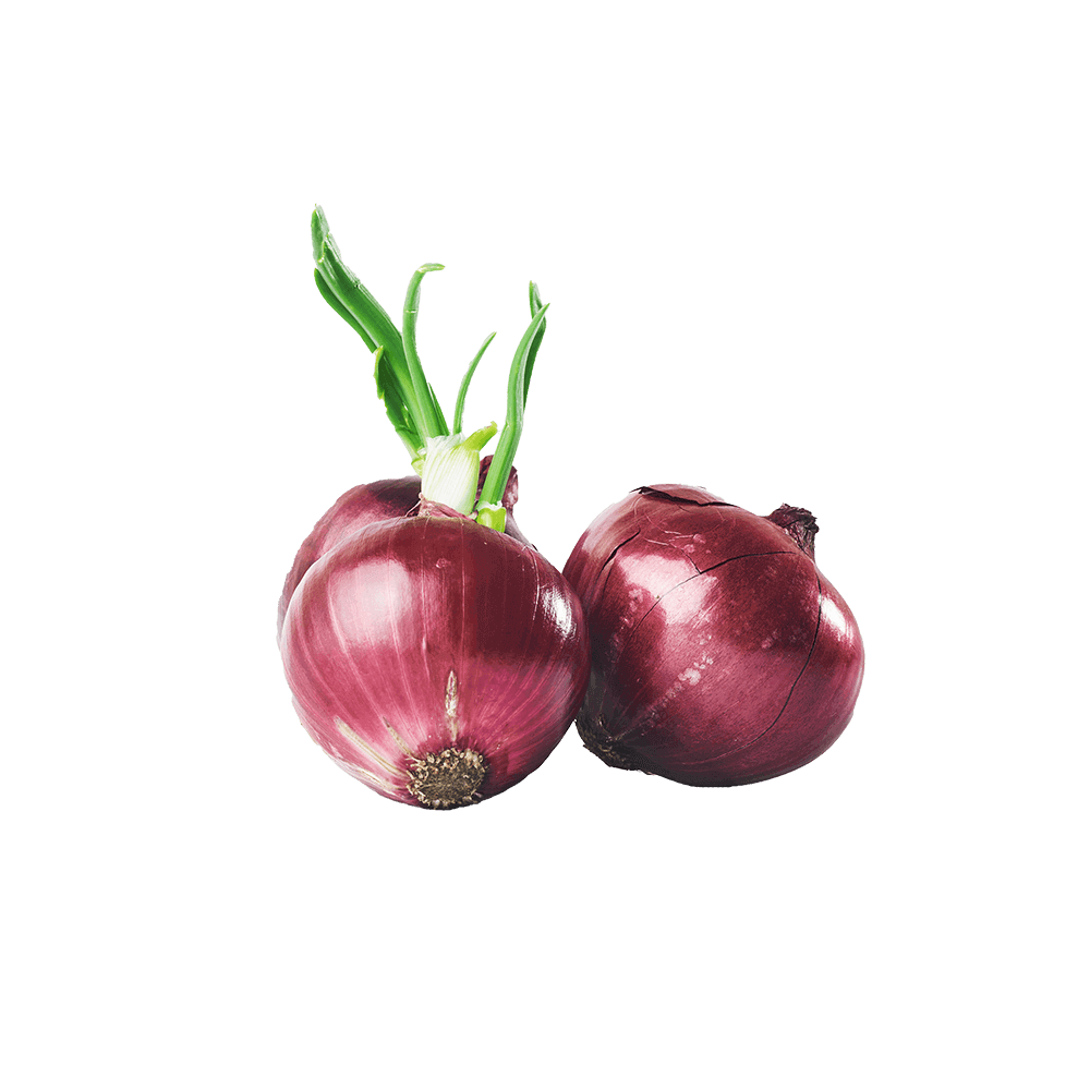 Savoy cabbage Agroxa