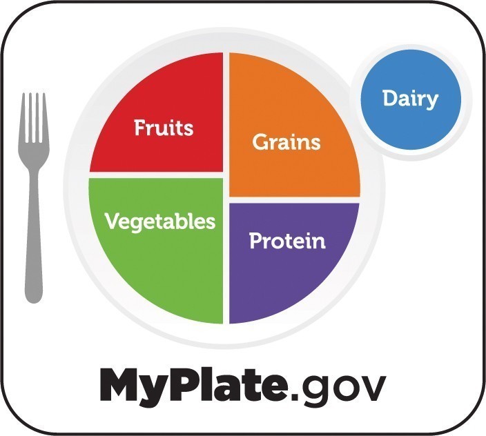 The New American Plate vs. MyPlate What’s the Difference? AICR