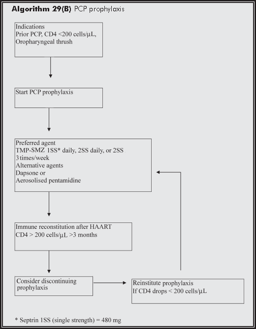 Booklet Pneumonia Adalah Pdf