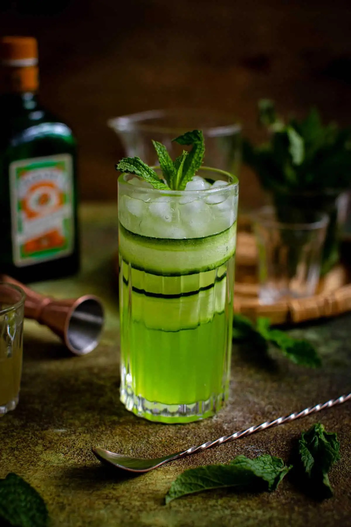 The Japanese Slipper - Aimee Mars