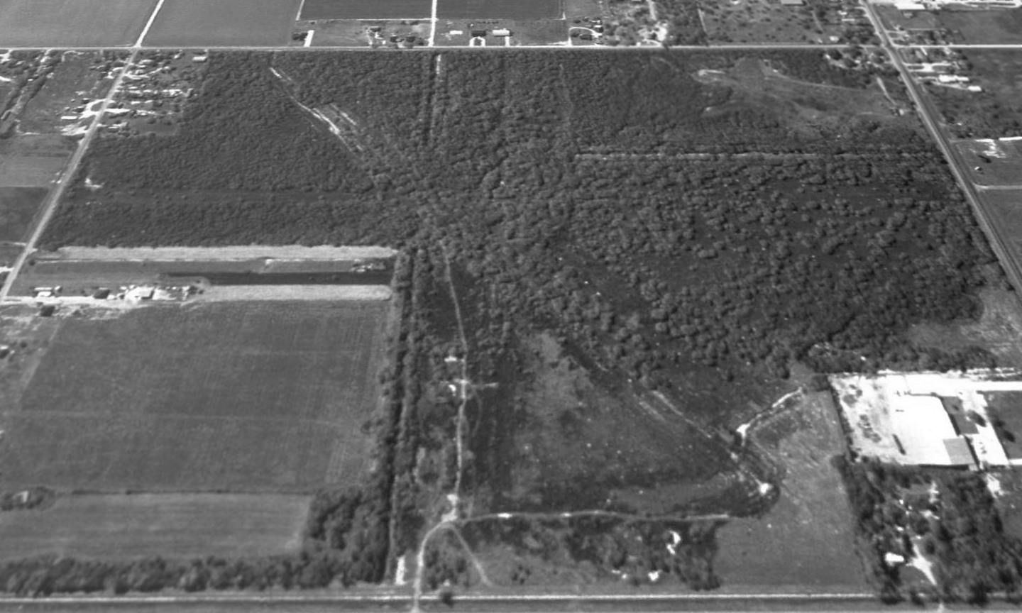 Abandoned & LittleKnown Airfields Southern Texas