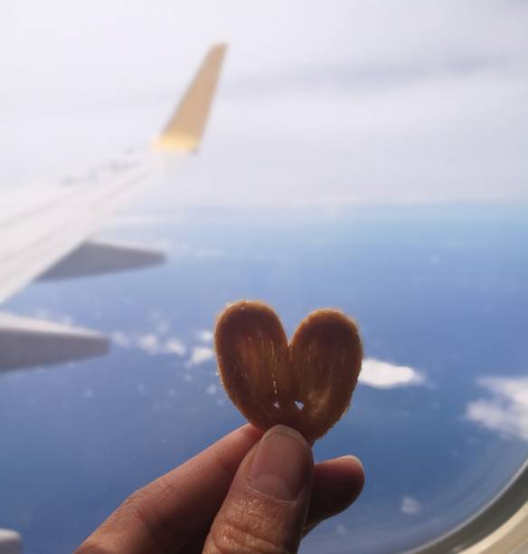 Can You Bring Snacks on A Plane TSA Guidelines