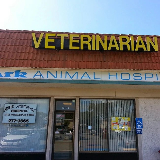 Finding The Major Animal Hospitals In San Diego, California