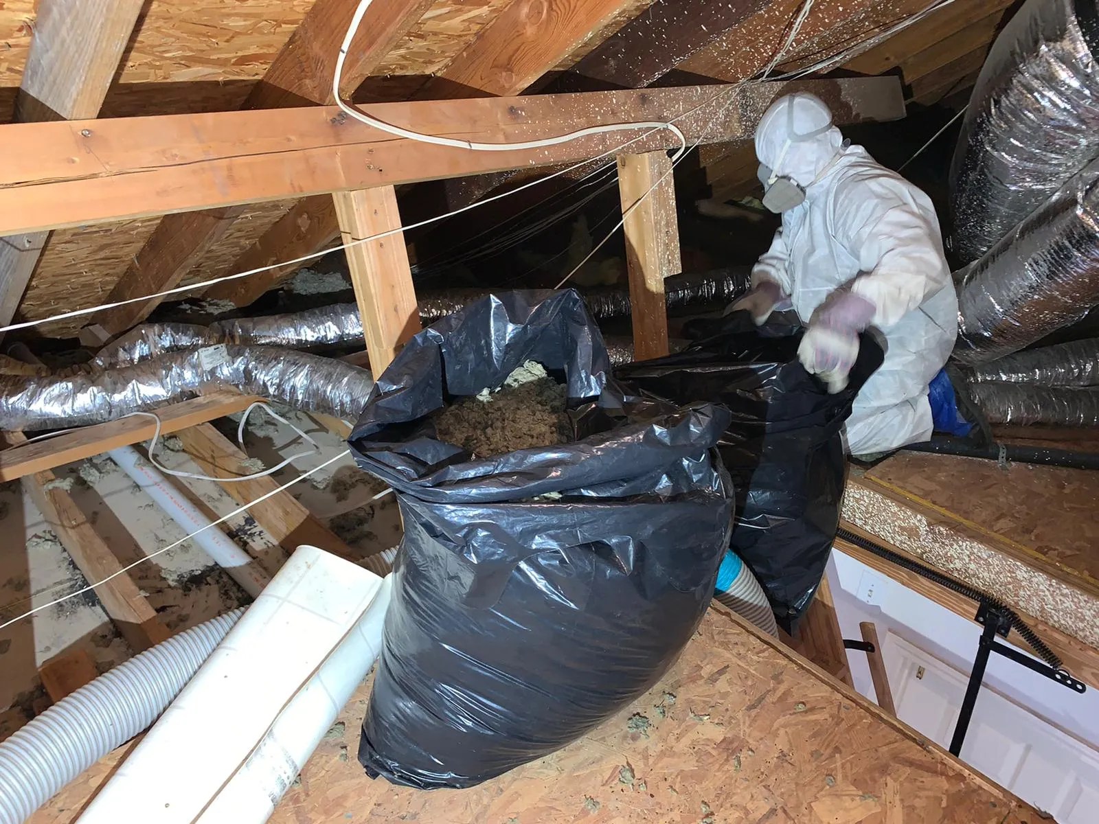 Attic Cleaning and Restoration in Houston Call (832) 7810105