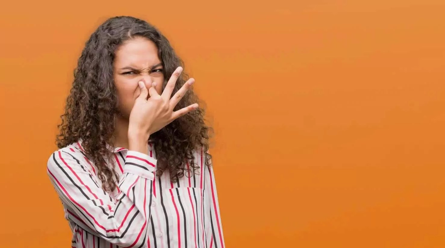 The Key To Conquering Old Building Smell Syndrome