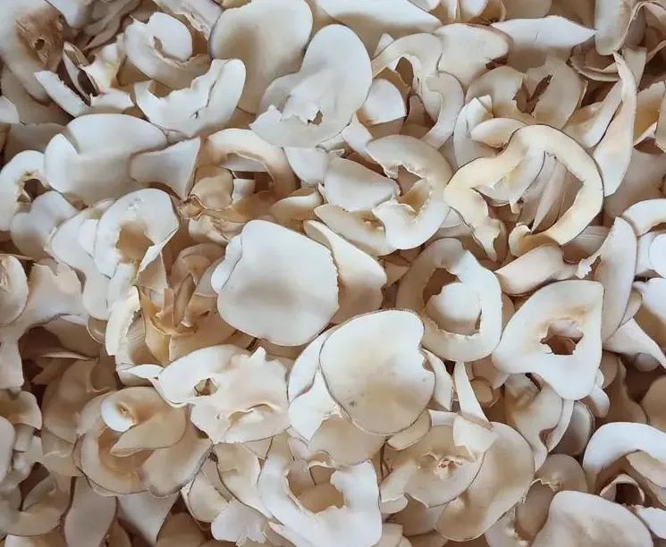 Coconut Meat Drying Machine Copra Dryer Airtek Dehydrator