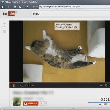 Alternatieven Voor Adobe Flash Player Voor Windows / Mac / Android / Ios