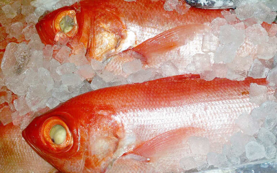 金目鯛（えびす鯛）の唐揚げ南蛮、タルタルソースで。 味畑家（あじばたけ） 福岡（薬院駅の近く）地鶏と魚が美味しい居酒屋