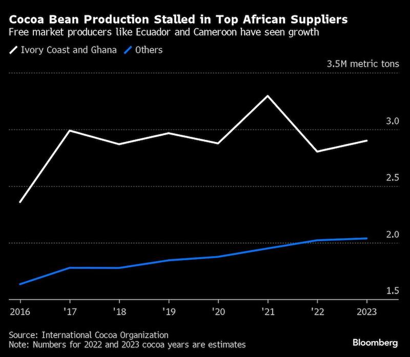 Biggest cocoa rally in decades is leaving top producers behind
