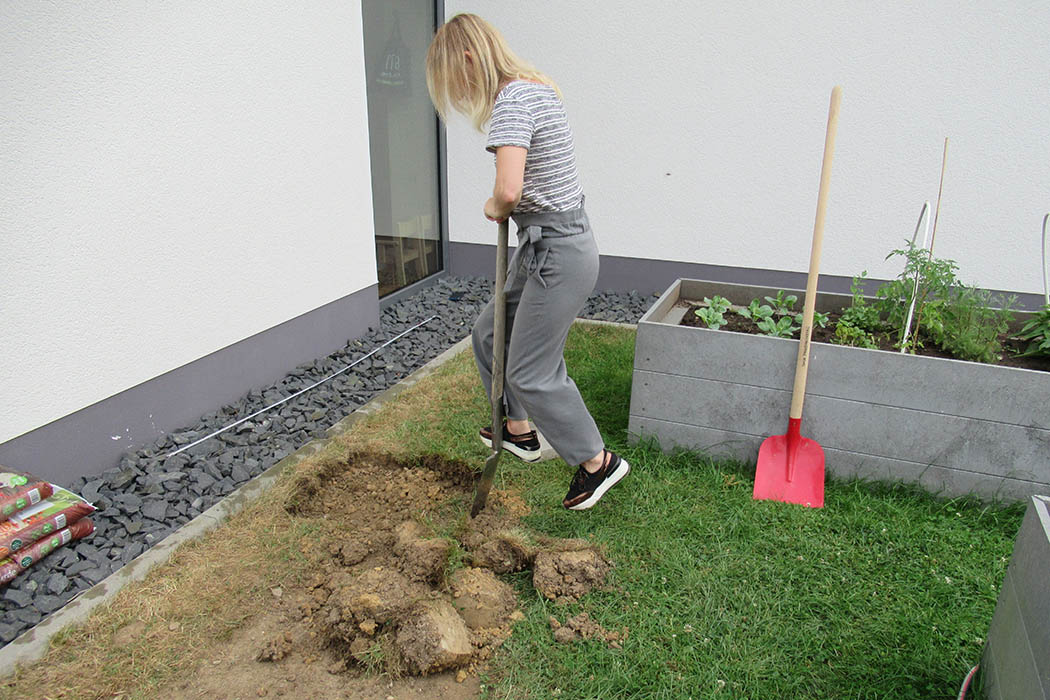 Kita Hummelnest als Vorbild für gesunde und nachhaltige Ernährung NR