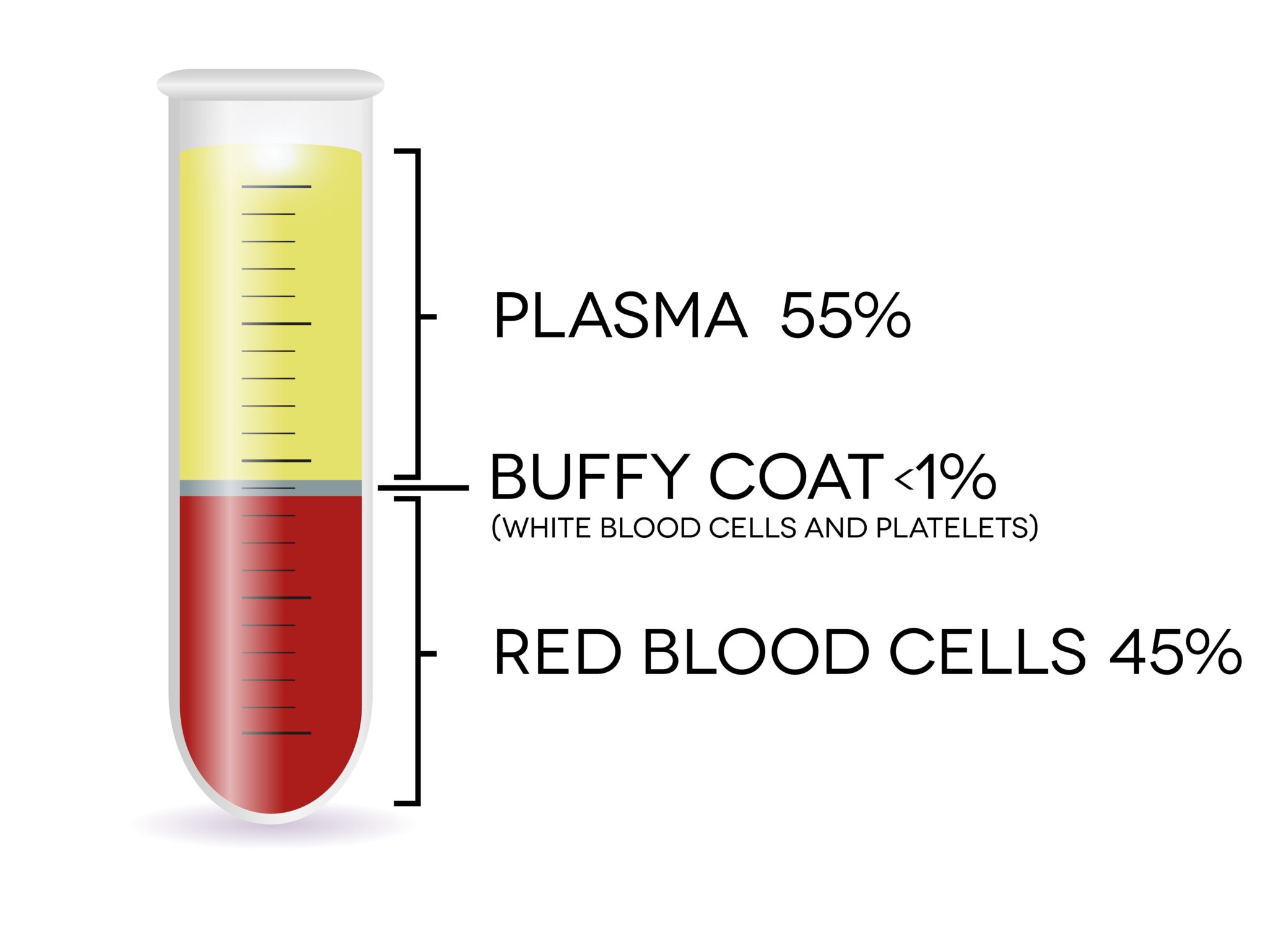 Buffy Coat Components What Is Buffy Coat Blood and How Is it Prepared?