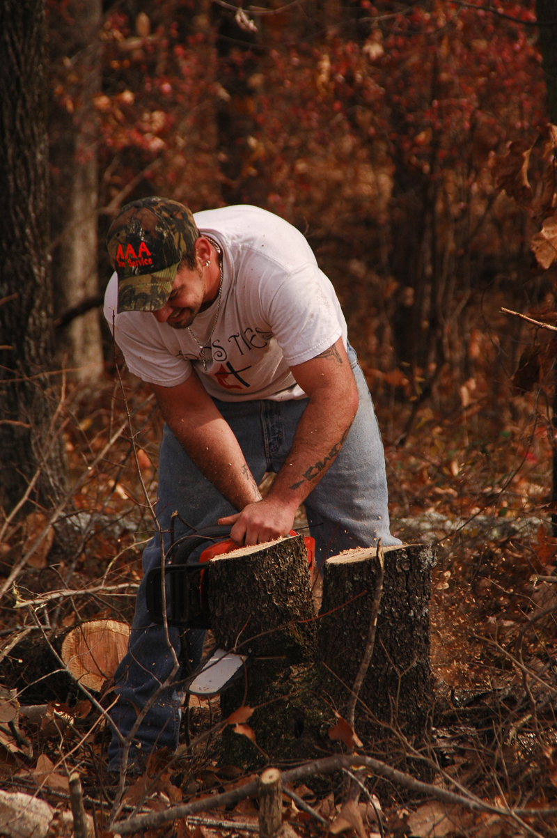 AAA Tree Service Birmingham Alabama