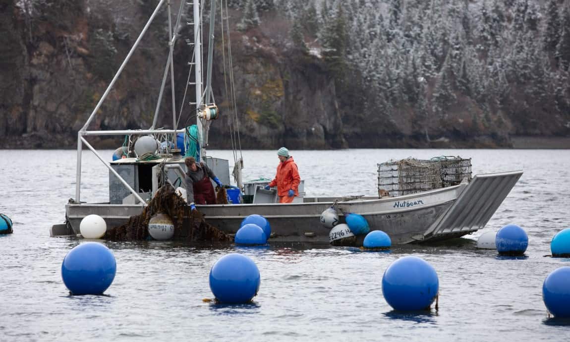 Halibut Cove Bates Family Is Alaska's Farm Family of 2020 Alaska Business Magazine