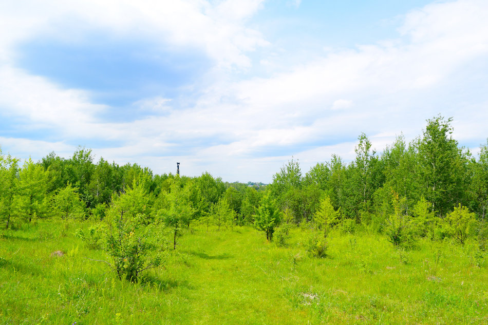 Tips for Buying OffGrid Land