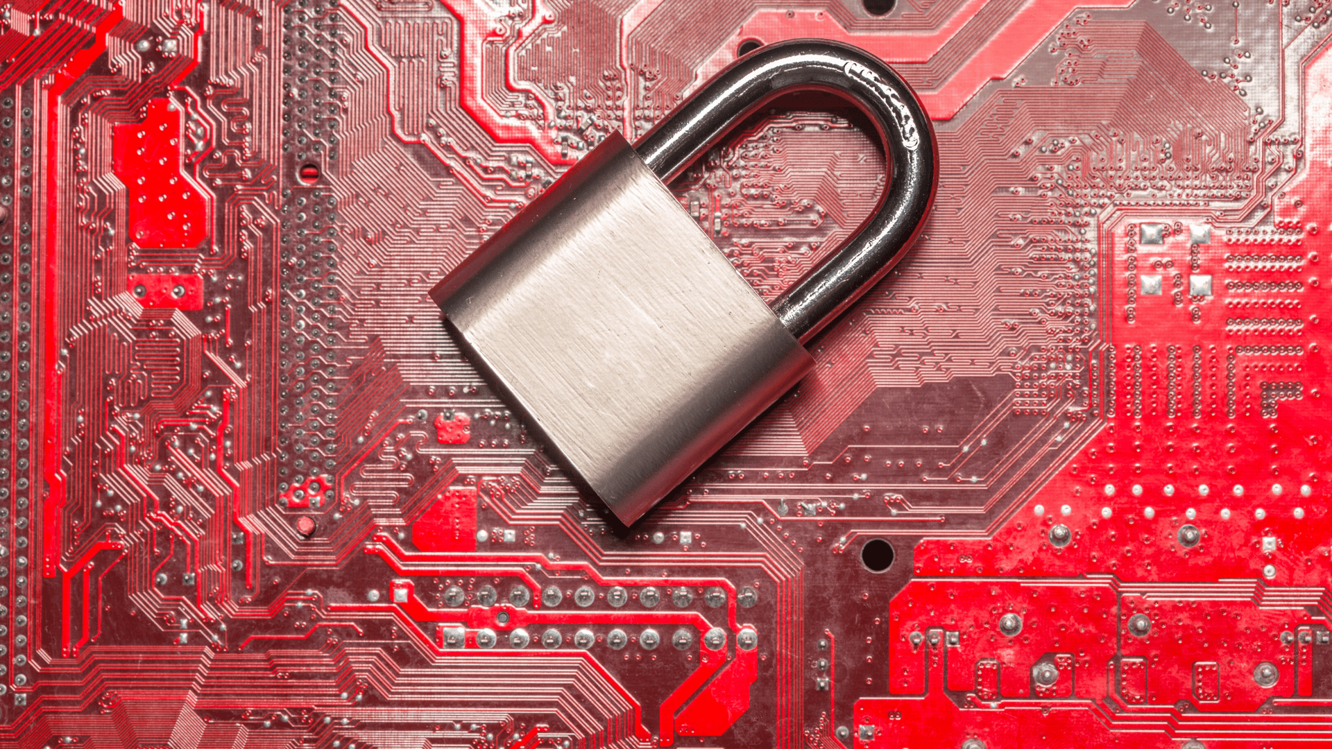 The True Cost of Data Breaches Financial and Reputational Impacts