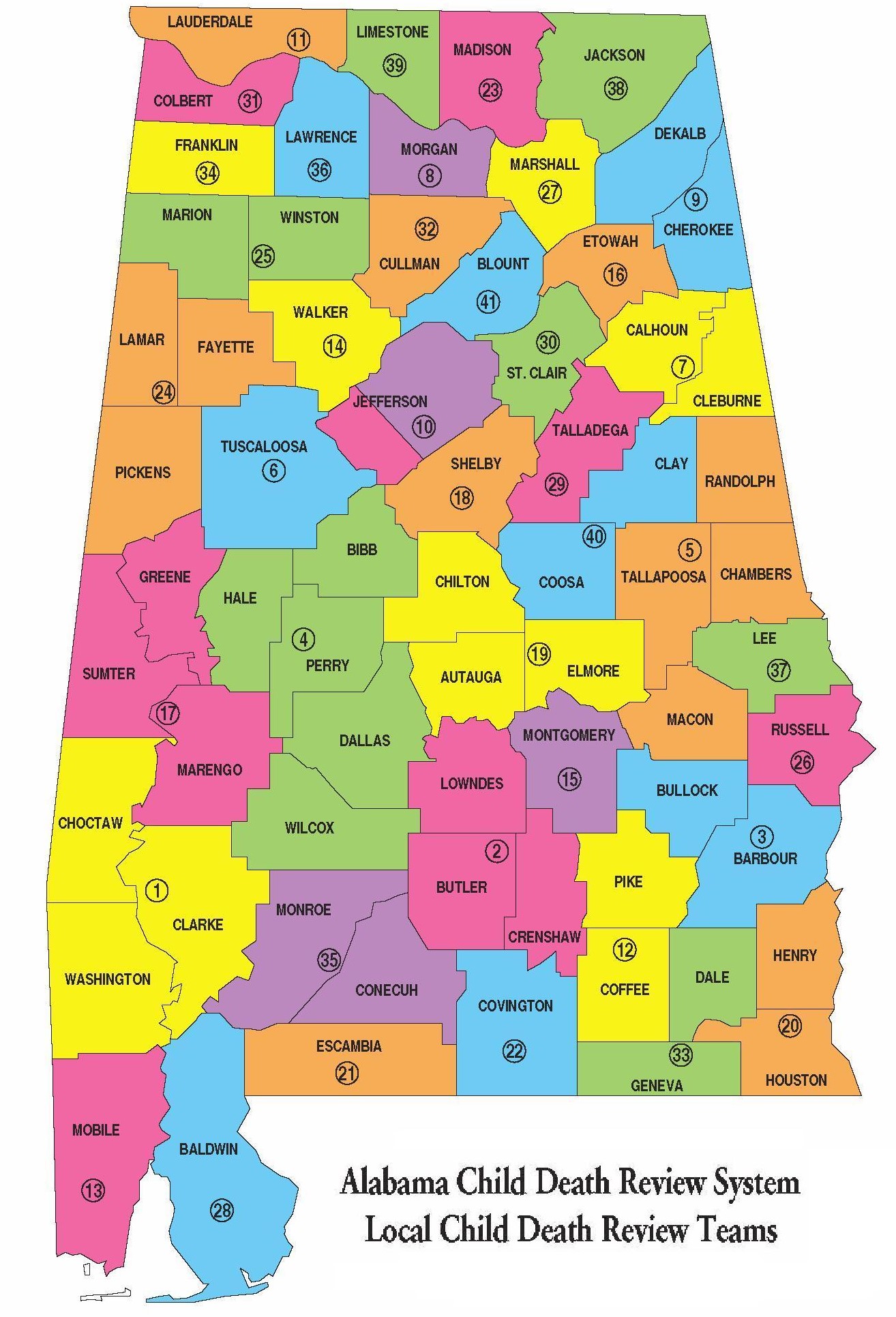 Impacting Child Death Review One Pediatrician/Family Physician at a