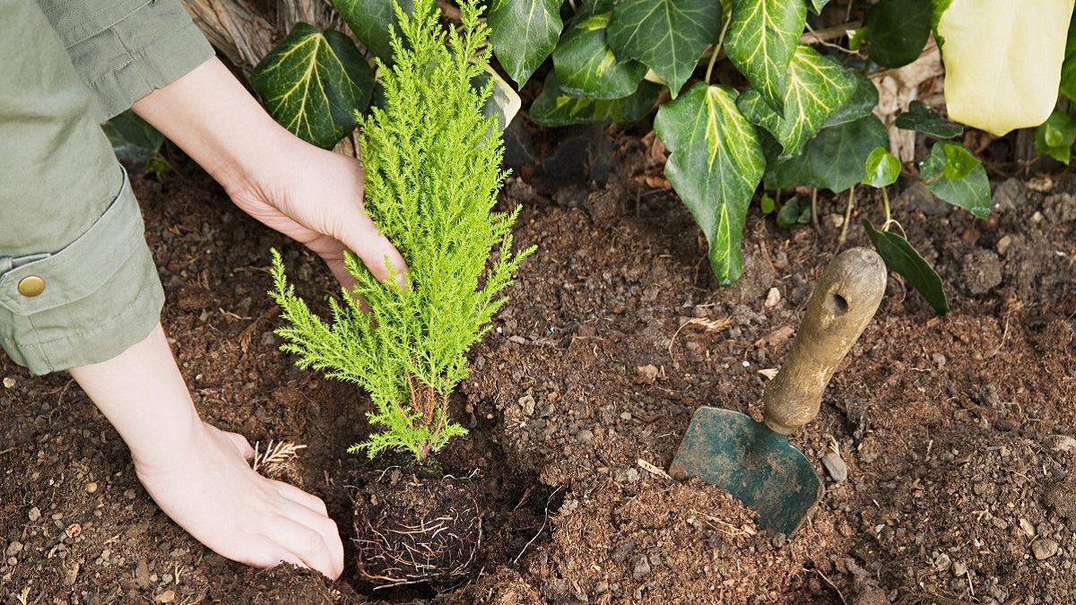 Alabama Power Foundation Awards Good Roots Grants The Alabama Weather