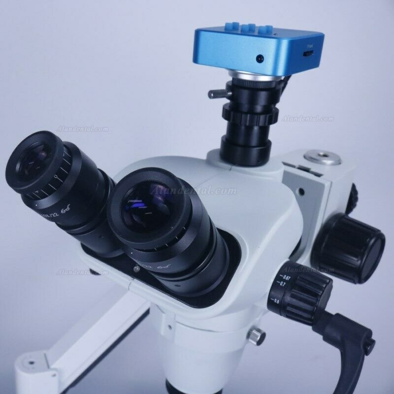 Buy Cheap Dental Operating Microscope with Camera Rood Canal Therapy