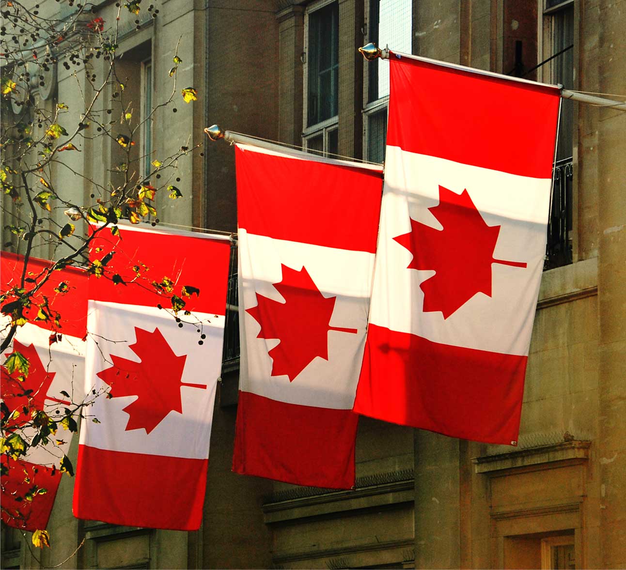 Successful Cases Alan Pearse Law