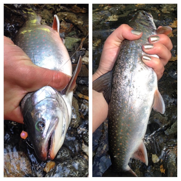 The Art of Choosing the Right Bead Beads Alaska Fly Fishing Goods