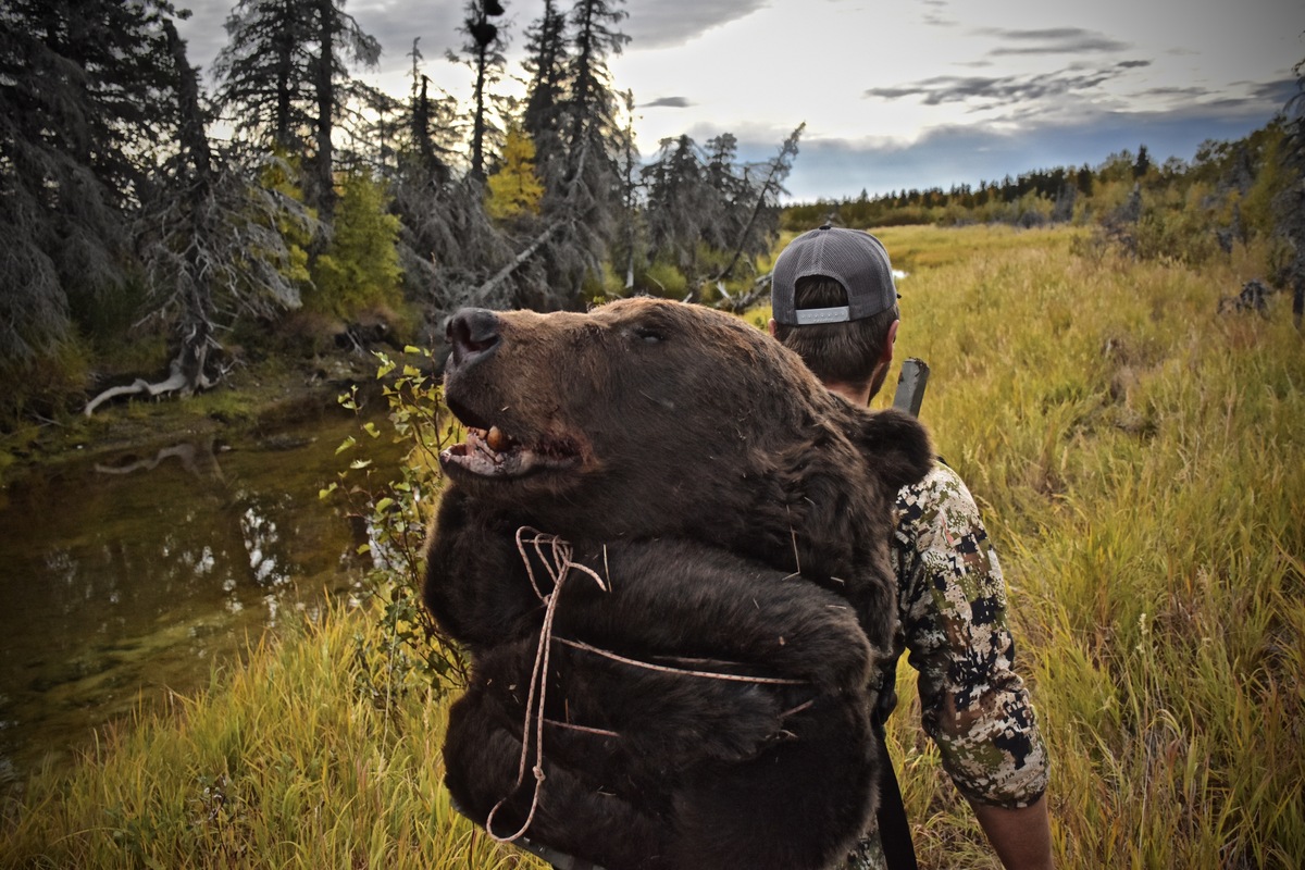 Brown Bear Hunting 1