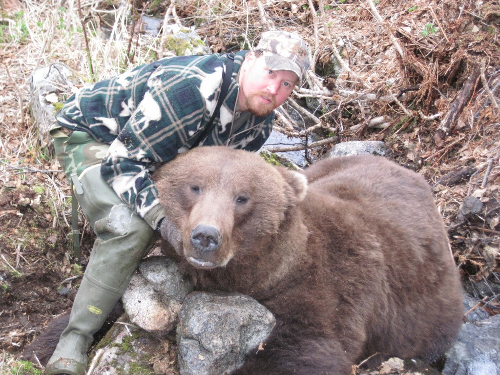 Brown Bear Hunts